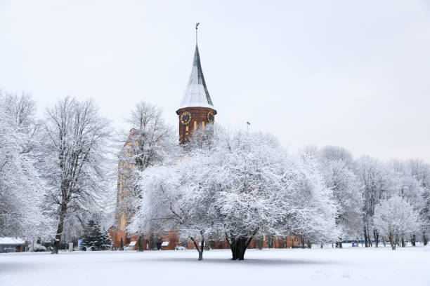 The Cathedral of Kaliningrad in winter