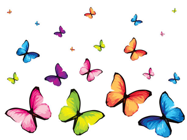 白い背景に分離された六つのカラフルな蝶のセット - butterfly monarch butterfly isolated flying点のイラスト素材／クリップアート素材／マンガ素材／アイコン素材