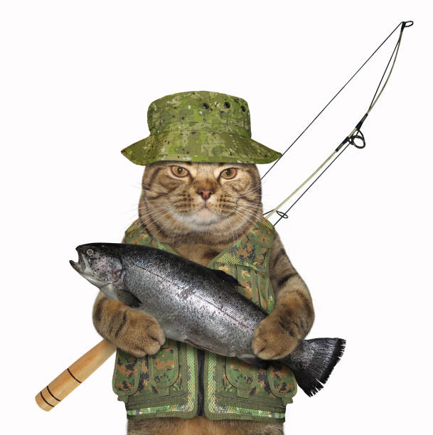 istock Cat fisher holds a big fish 1087781746