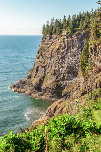 istock Oregon Coastal Cliffs at Cape Meares, Oregon coast 1087783980