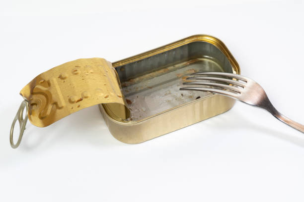 istock A tin of  sardines 1087787608