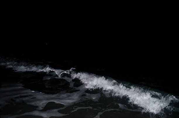 Splashing wave on the Black sea in the night.