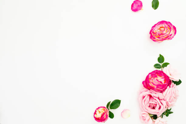 istock Floral frame with pink flowers and leaves on white background. Flat lay, top view. 1087803742