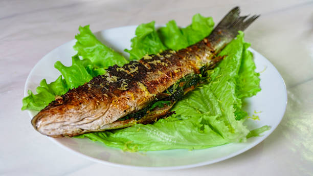 sea bass, grilled sea bass, food, fish, dinner - sea bass prepared fish food grilled imagens e fotografias de stock