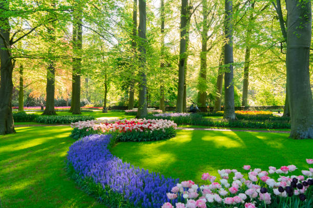 istock fresh lawn with flowers 1087811540