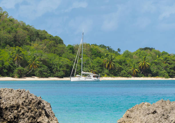 istock Catamaran moored in Guadeloupe 1087825454