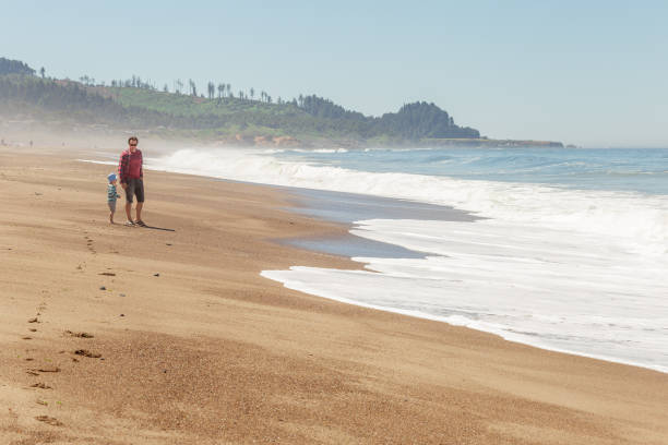 istock Father and son looking at sea waves on the beach 1087827754