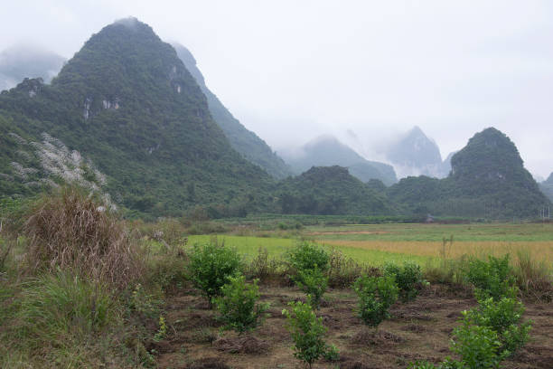 Karst mountains and limestone peaks of Yulong Rive