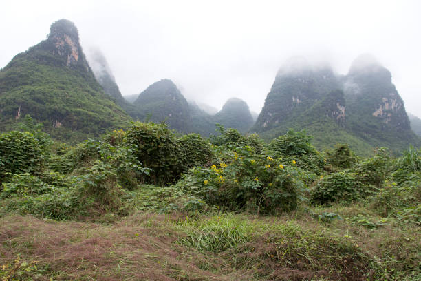 Karst mountains and limestone peaks of Yulong Rive