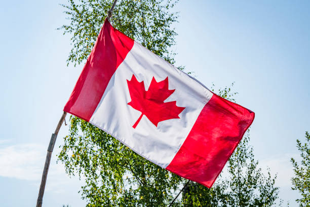 istock Canadian flag on a wooden stick with trees 1087833880