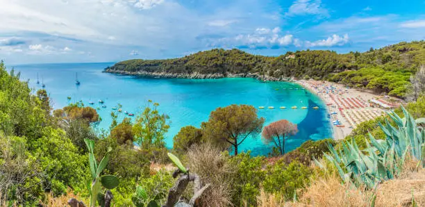 Photo of Landscape with Fetovaia beach on Elba island, Tuscany, Italy