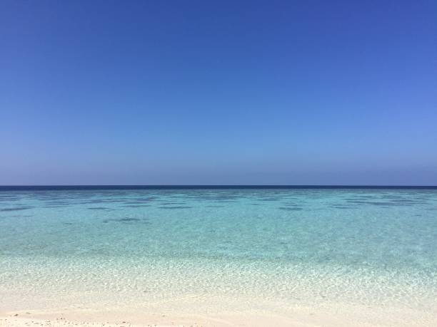 istock Paradise water in Maldives Islands (Ari Atoll) 1087837288