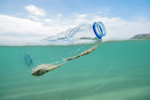 istock Used Plastic Water Bottle floating on the sea surface. 1087837544