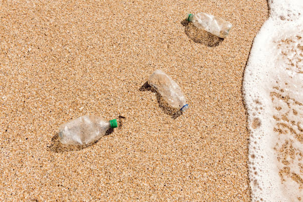 Plastic waste near by the sea on the beach at sunset.
