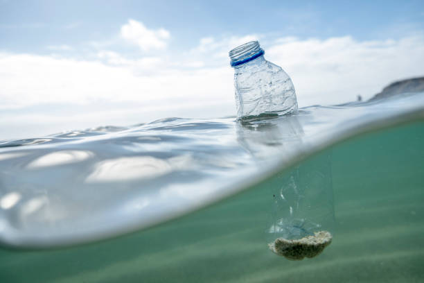 istock Used Plastic Water Bottle floating on the sea surface. 1087837556