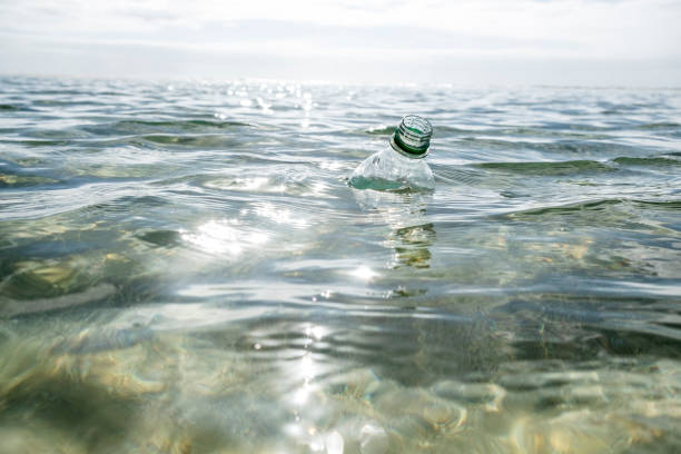 istock Used Plastic Water Bottle floating on the sea surface. 1087837604