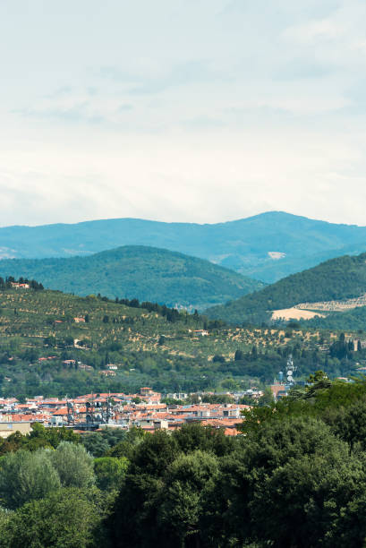 istock Hills of vineyards or forests 1087840048