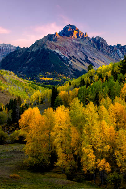 Mt Sneffels Sunset in the Fall Season Sunset Alpine Glow on Mt Sneffels with Golden Aspen in the Valley ridgway stock pictures, royalty-free photos & images