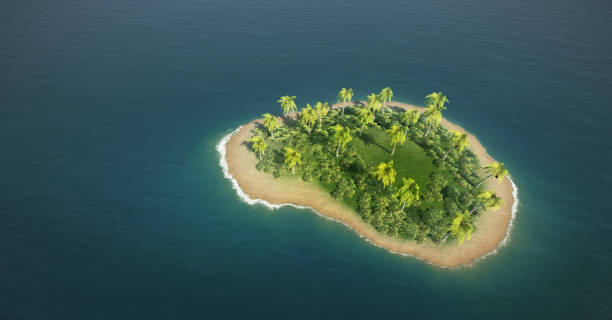 istock Tropical island aerial view 1087849862