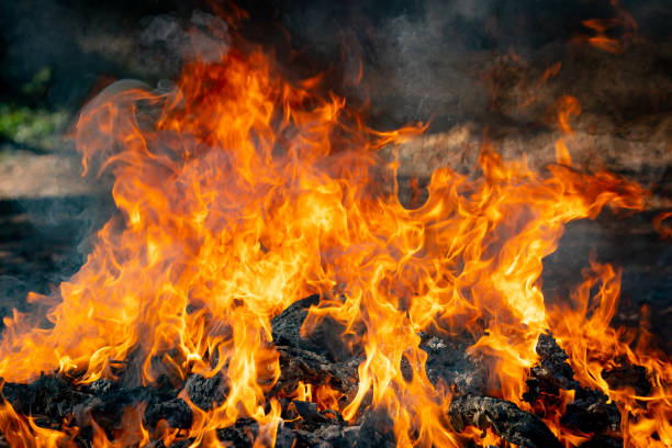 istock Fire flame burning garbage to air pollution in industry 1087851662