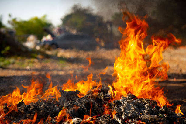 istock Fire flame burning garbage to air pollution in industry 1087852288