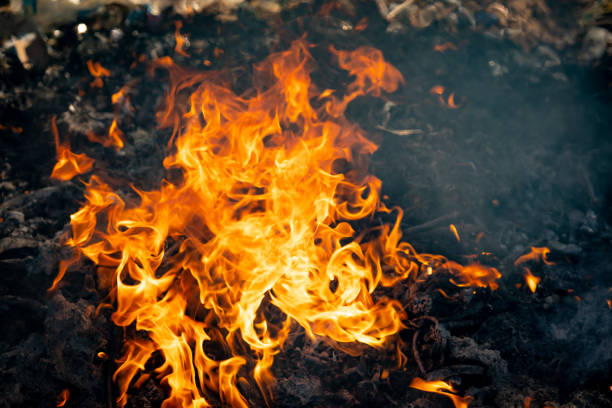 istock Fire flame burning garbage to air pollution in industry 1087852658