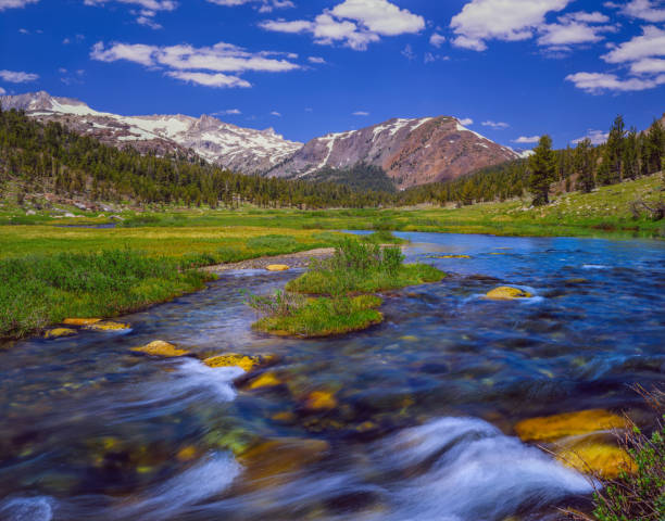 istock Hall Research Natural Area Tioga Pass 1087854728