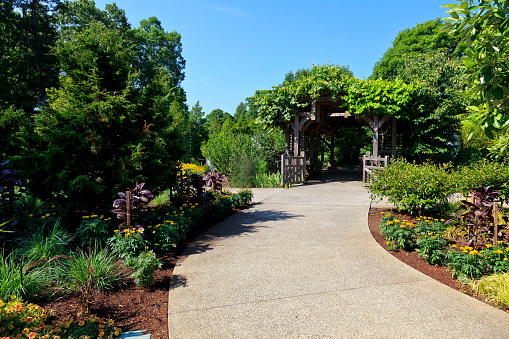 A garden entrance under a trellis in the summer with paved walkway.