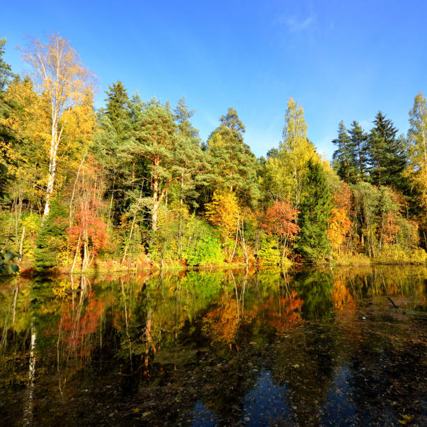 istock lake landscape during Fall season 1087858464