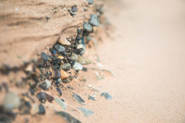 Closeup of pebbles on a sand beach on the high tide line. Intentional shallow depth of field and space for text.