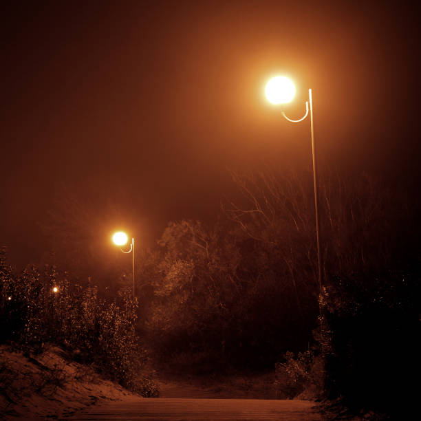 istock Lanterns shining in the fog 1087862728