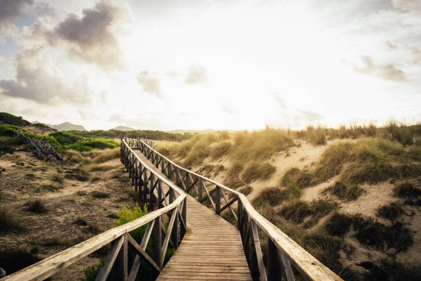 istock Sun over dune landscape with wooden walkway 1087865636