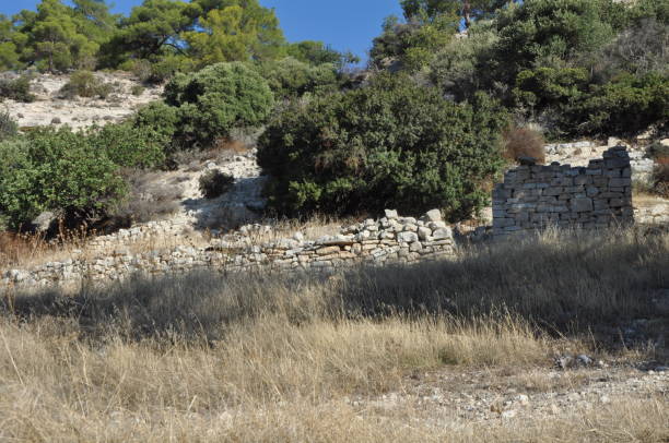 istock The Rock at forest in Cyprus 1087867108