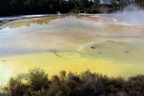 istock Central pools of Wai-o-Tapu 1087867378