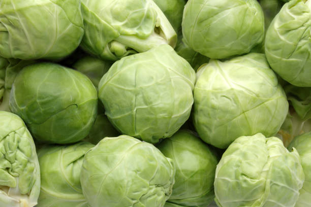istock Background of brussels sprouts, fresh green cabbages 1087874028