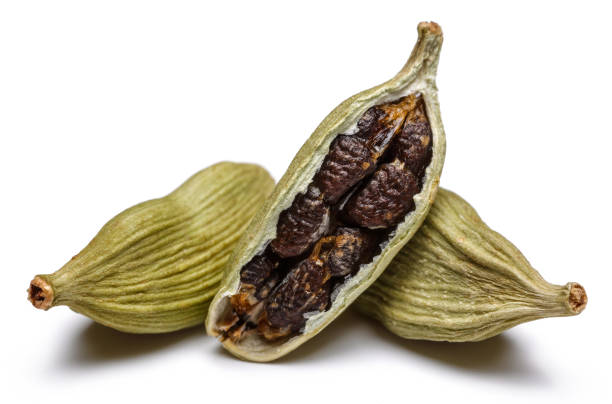 green cardamom pods and seeds on white background - cardamom spice indian culture isolated imagens e fotografias de stock
