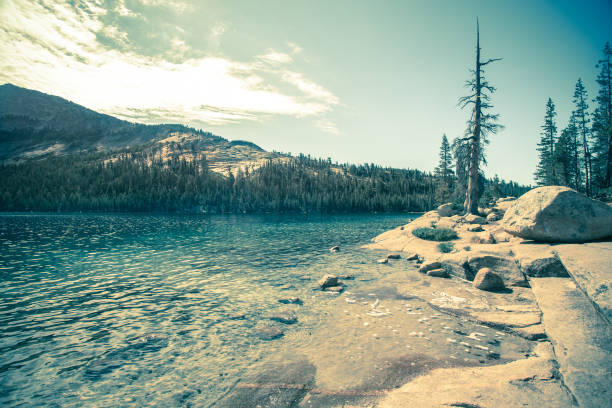 Landscape scene from Yosemite National Park in California with vintage retro tone