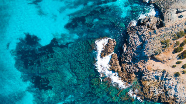 istock Turquoise water, forest and beaches in Mallorca 1087879276