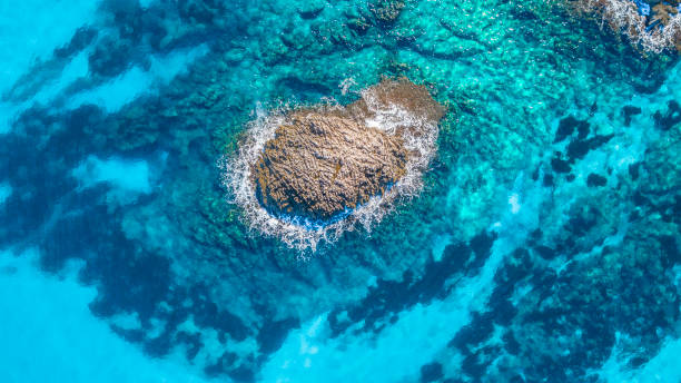 istock Turquoise water, forest and beaches in Mallorca 1087880422