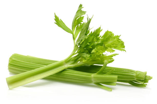 gambi di sedano fresco su sfondo bianco - celery leaf celeriac isolated foto e immagini stock