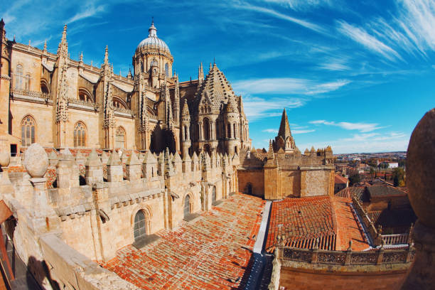 istock Cathedral of Salamanca 108788429