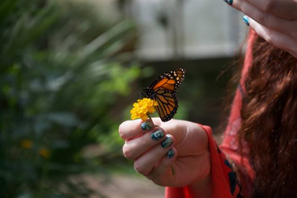 istock Lady holding a flower and a butterfly 1087884698
