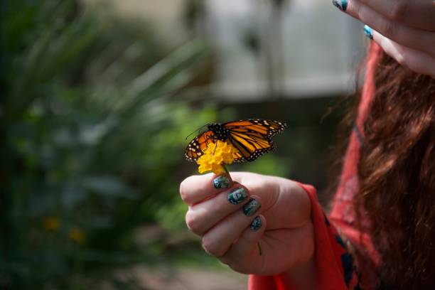 istock Lady holding a flower and a butterfly 1087884700