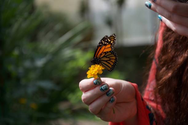 istock Lady holding a flower and a butterfly 1087885814