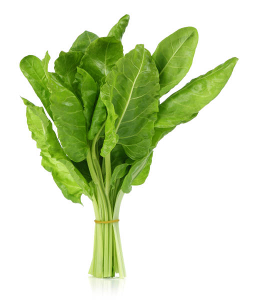 istock A bunch of fresh chard leaves 1087886120
