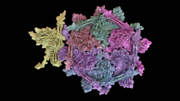 istock 3D CG rendered image of scientifically accurate Bacteriophage HK97 virus capsid Structure based on PDB : 1OHG (capsomere) 1087886200