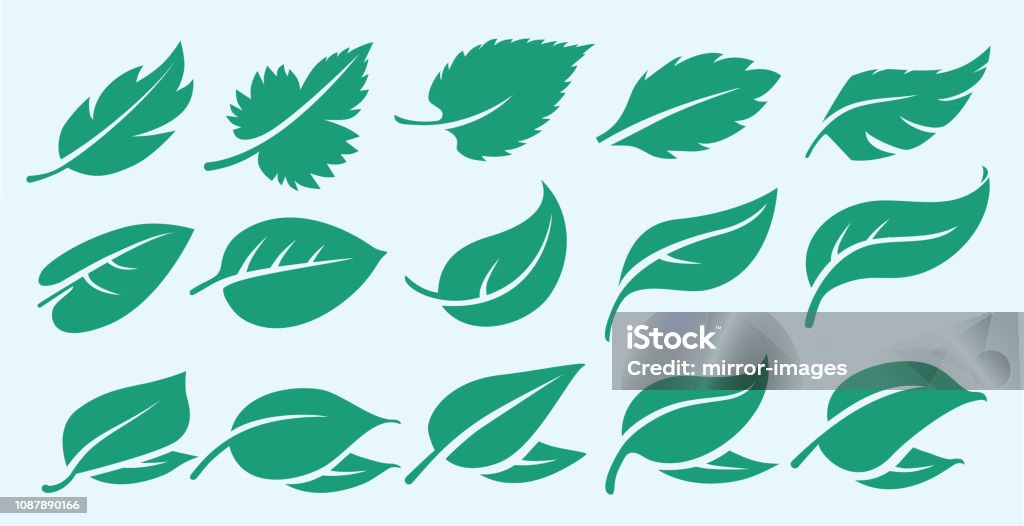 conjunto de folha de logotipo ecológico eco fresco simbólico renovável sustentável natural alimentos orgânicos ícones / folhas - Vetor de Folha royalty-free