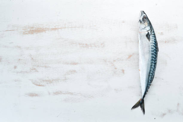 Mackerel on a white wooden background. Raw fish Top view. Free copy space.