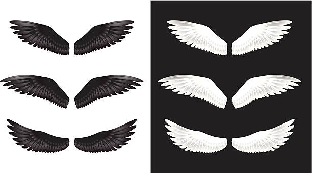 Chicken Wings – Vektorgrafik