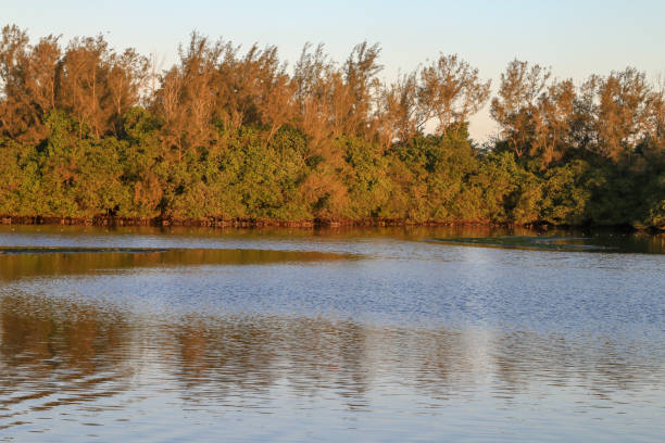 istock Marapendi Lagoon in Barra da Tijuca, Rio de Janeiro 1087897896